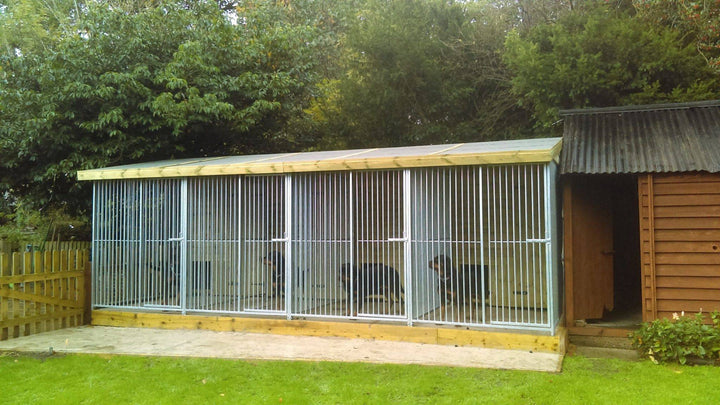 20 X 8 ft Four Bay Dog Kennel - Kennel Company