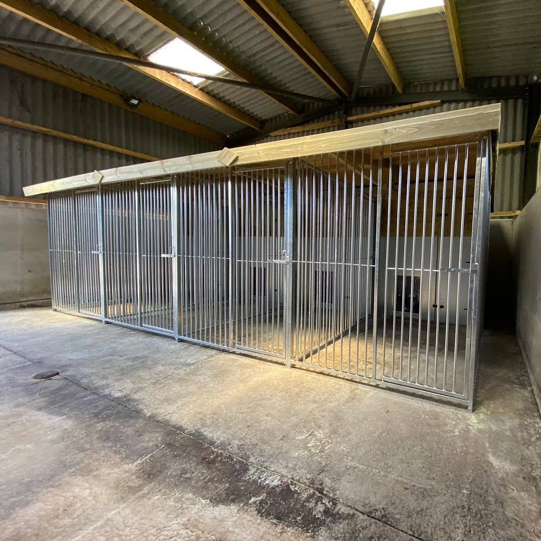 20 X 8 ft Four Bay Dog Kennel - Kennel Company