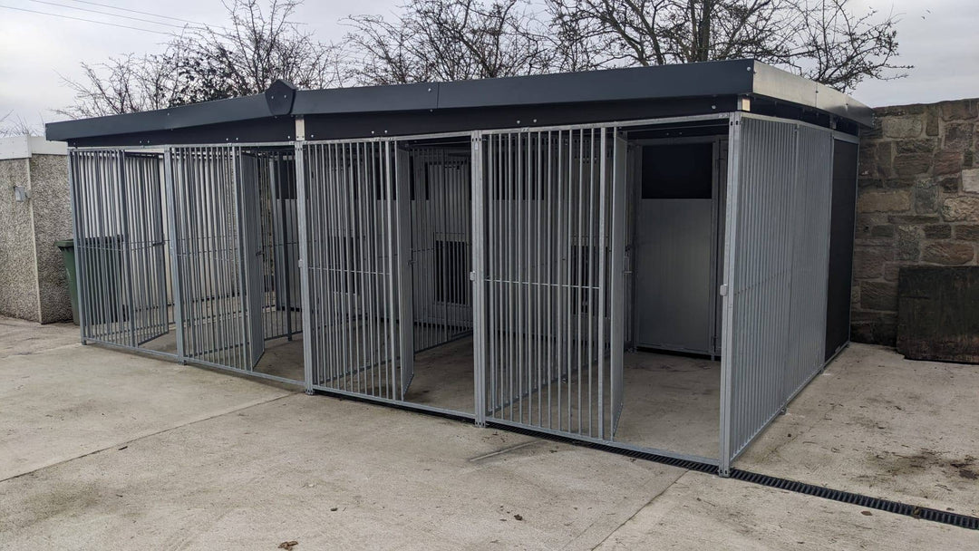 16 X 12 ft Four Bay Eco Thermal Plastic Dog Kennel - Kennel Company