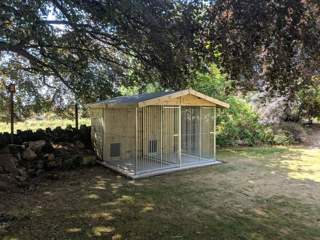 10 X 12 ft Double Dog Kennel - Kennel Company