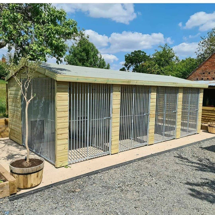 20 X 10 ft Four Bay Dog Kennel - Kennel Company