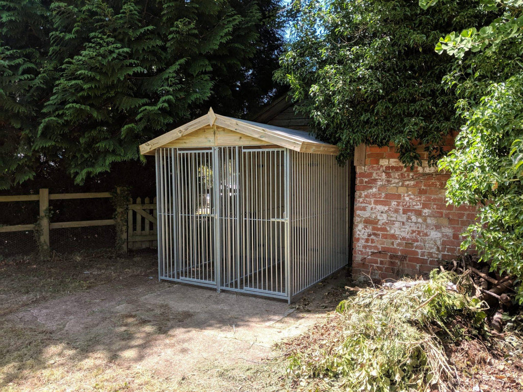 8 X 8 ft Double Dog Kennel - Kennel Company