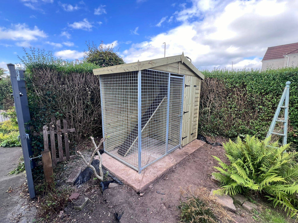 8 X 4 ft Single Cattery | Installation Included - Kennel Company