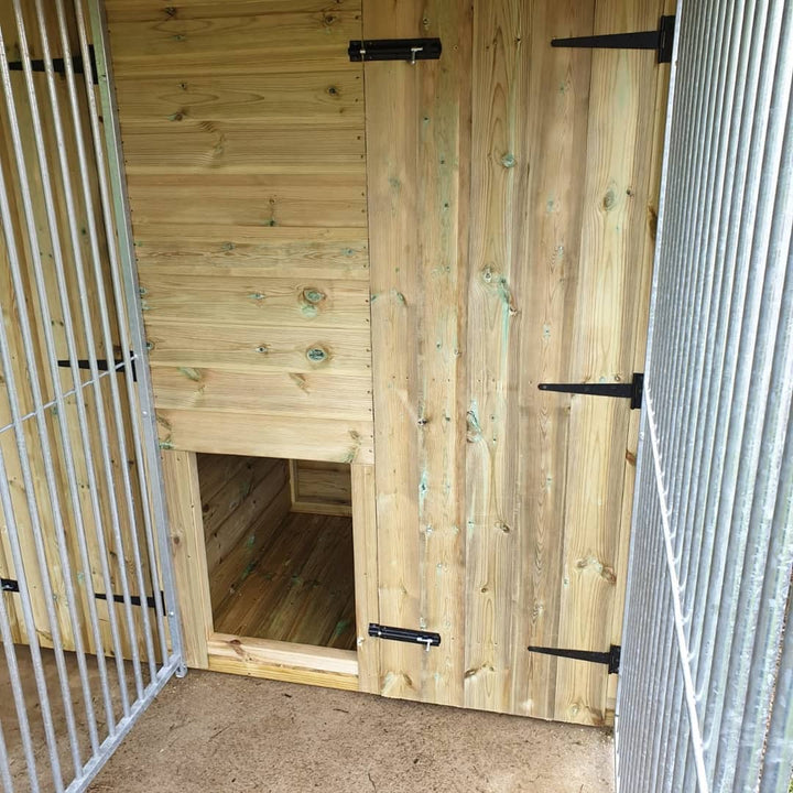 8 X 8 ft Double Dog Kennel - Kennel Company