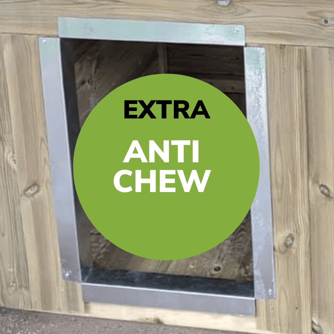8 X 8 ft Double Dog Kennel - Kennel Company