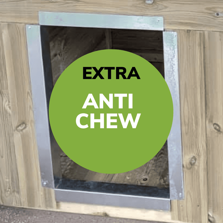 8 X 4ft Single Dog Kennel | Installation Included - Kennel Company