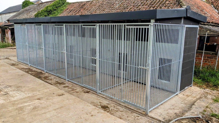 25 X 8 ft Five Bay Eco Thermal Plastic Dog Kennel - Kennel Company