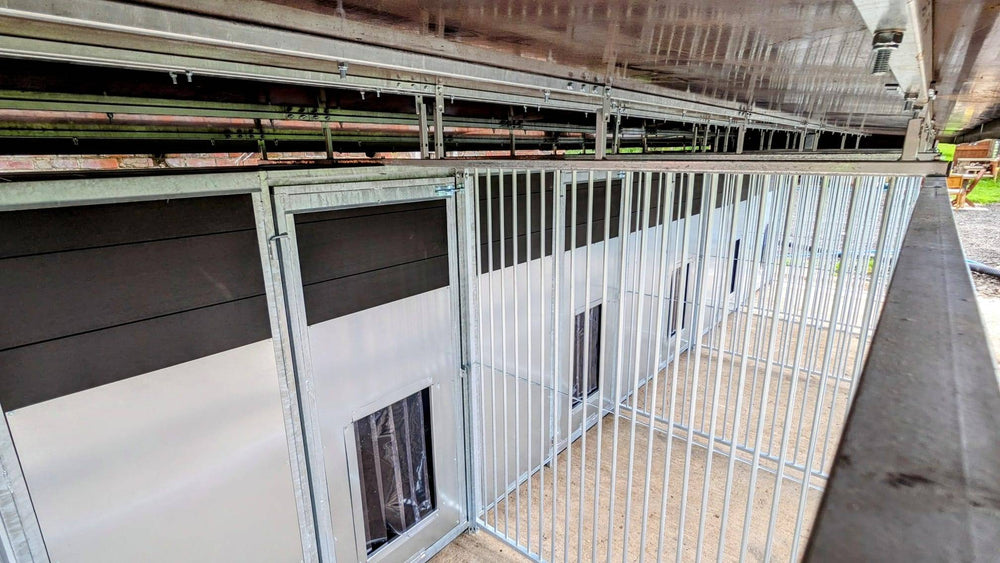 25 X 10 ft Five Bay Eco Thermal Plastic Dog Kennel - Kennel Company