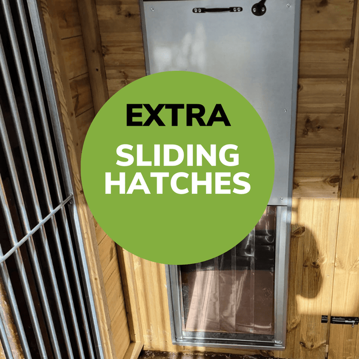 8 X 4ft Single Dog Kennel | Installation Included - Kennel Company